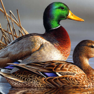 Flying Mallard Duck For Sale